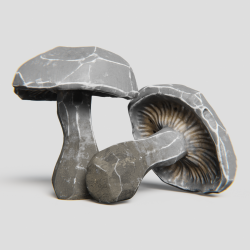 Rockshrooms